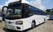 туристический автобус Kia Granbird  Parkway